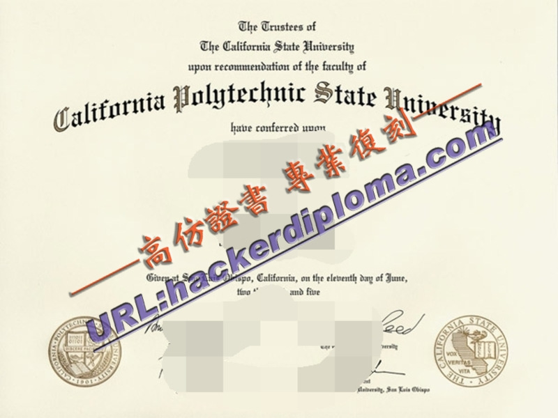 加州州立理工大学圣路易斯奥比斯堡分校文凭补办事宜详解