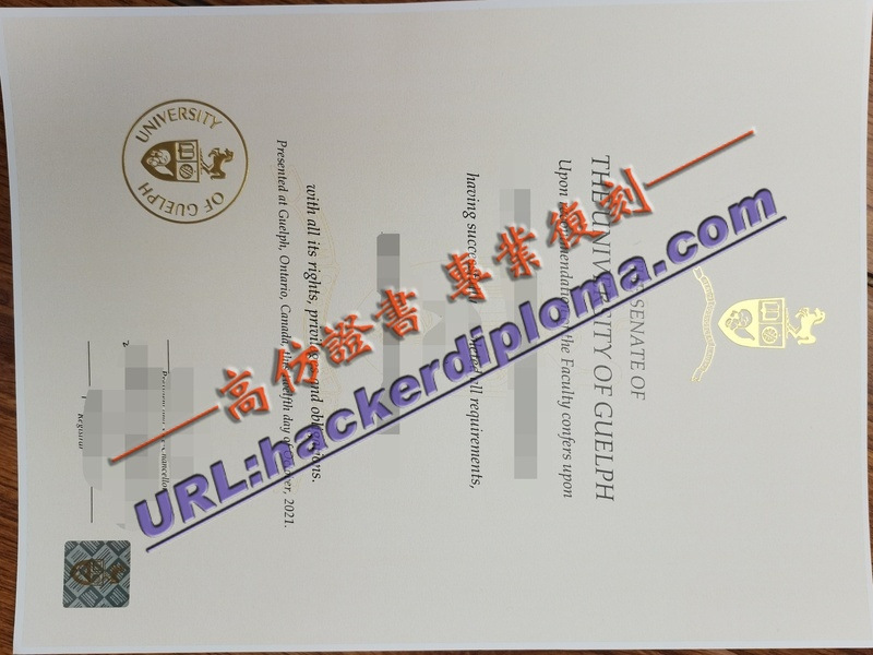 大圭尔夫大学文凭办理:详解流程与注意事项