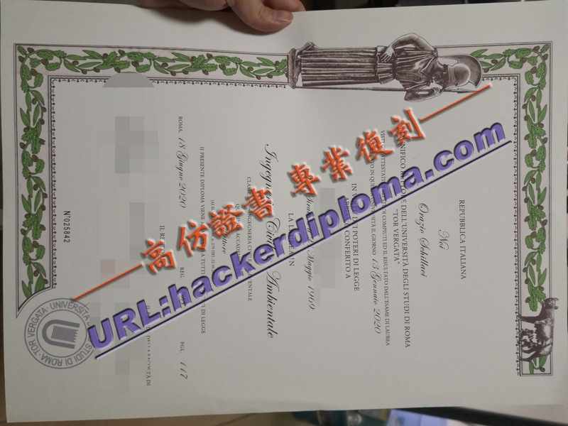 如何定制意大利罗马第二大学文凭：一站式指南