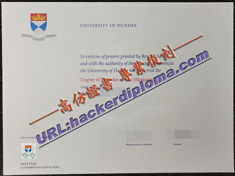 英国邓迪大学文凭办理：详解申请流程与注意事项